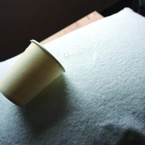 Επίστρωμα Πετσετέ Αδιάβροχο 100 TERRY/PU  100x200+35